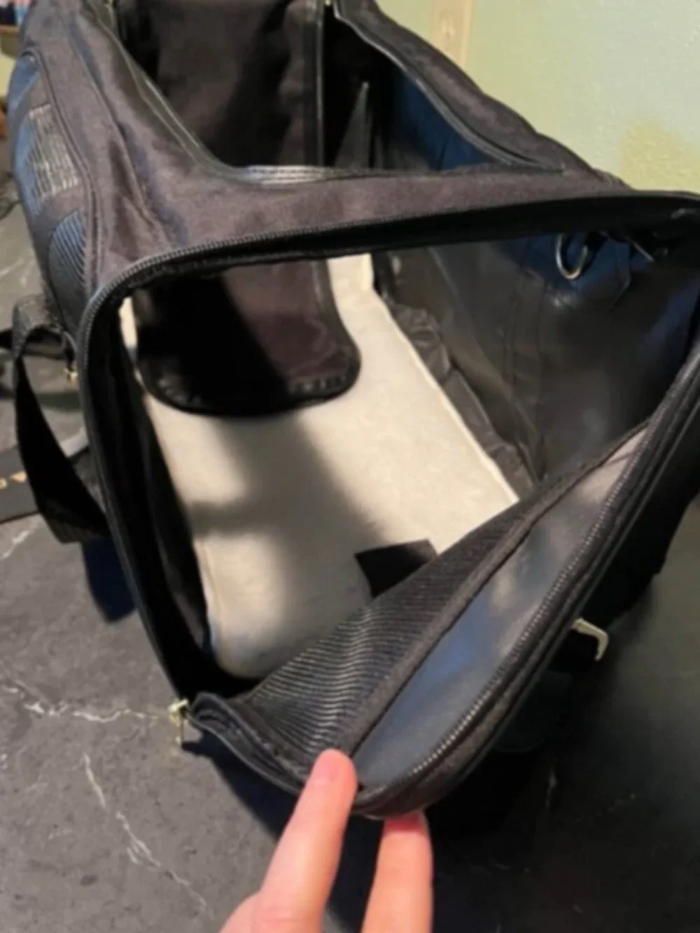 DELTA Pet Carrier for Travel Airline Approved Carrier. Medium